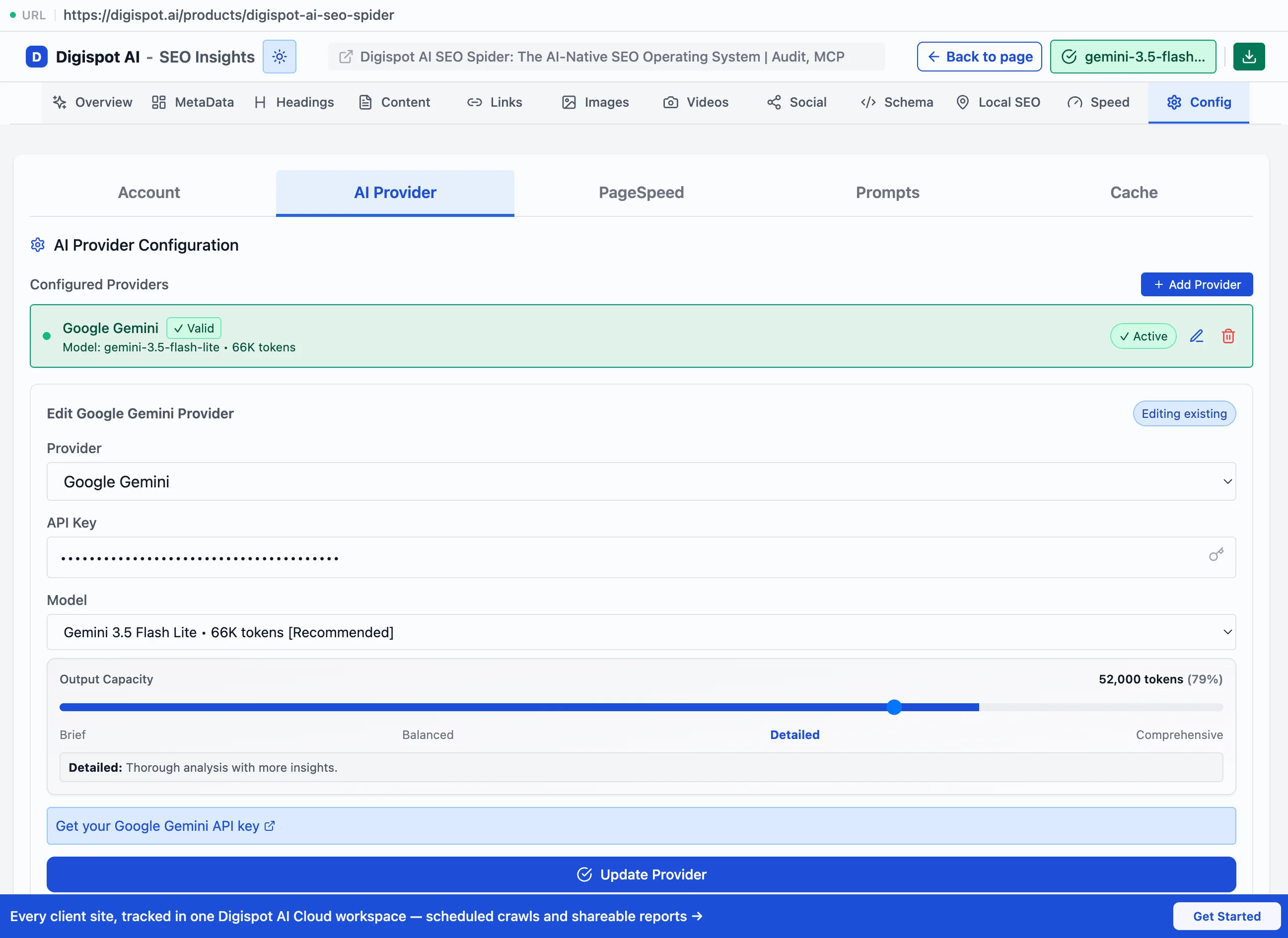 The extension Config tab's AI Provider Configuration screen with a provider selected and active, an edit form showing the provider, API key, model dropdown, and an Output Capacity slider