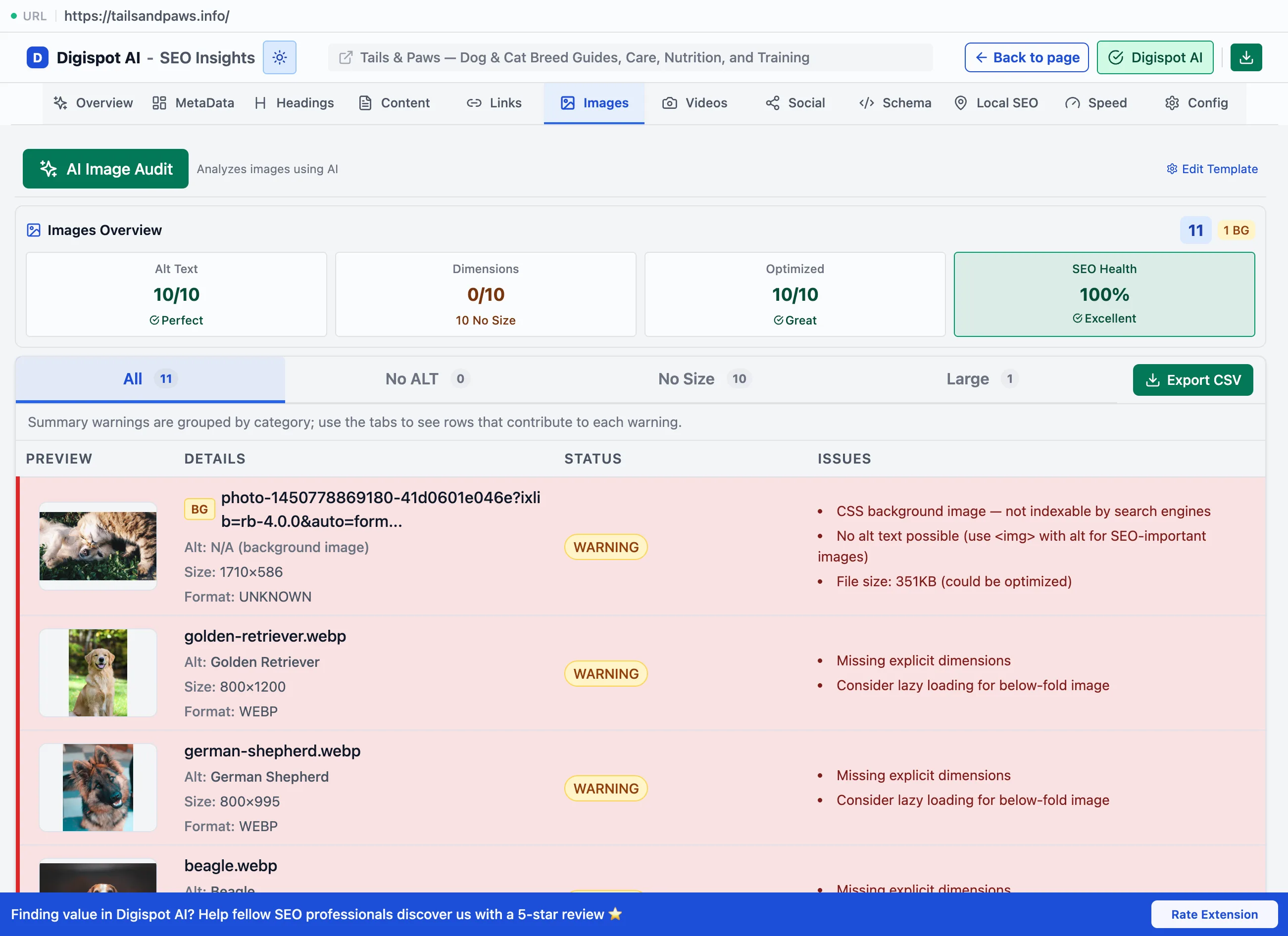 The Images panel's AI Image Audit showing an Images Overview with alt-text, dimensions, optimized, and SEO-health scores, above per-image cards flagging missing dimensions and CSS background images with specific warnings