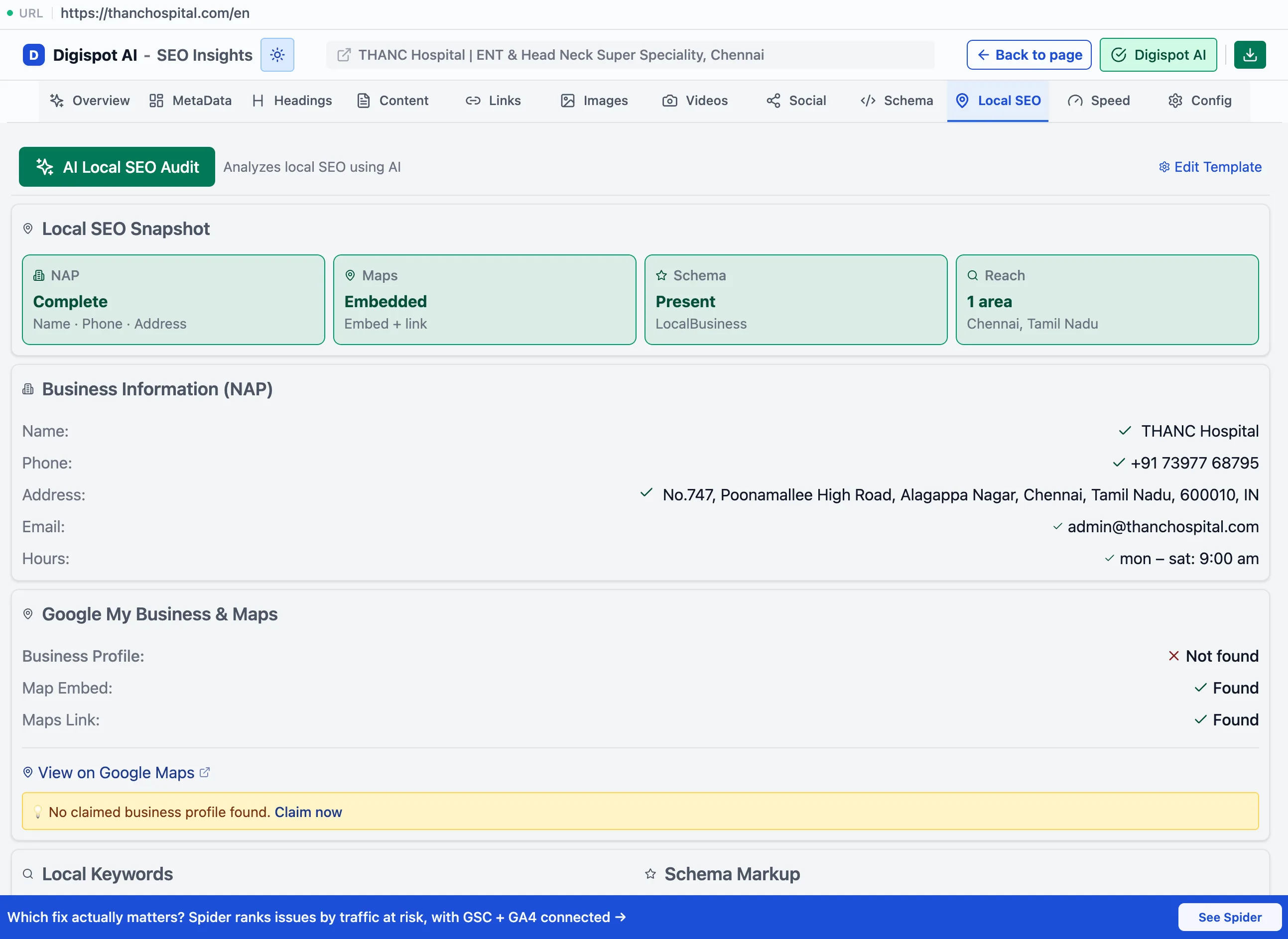 The Local SEO panel showing NAP consistency, LocalBusiness schema, and location keywords
