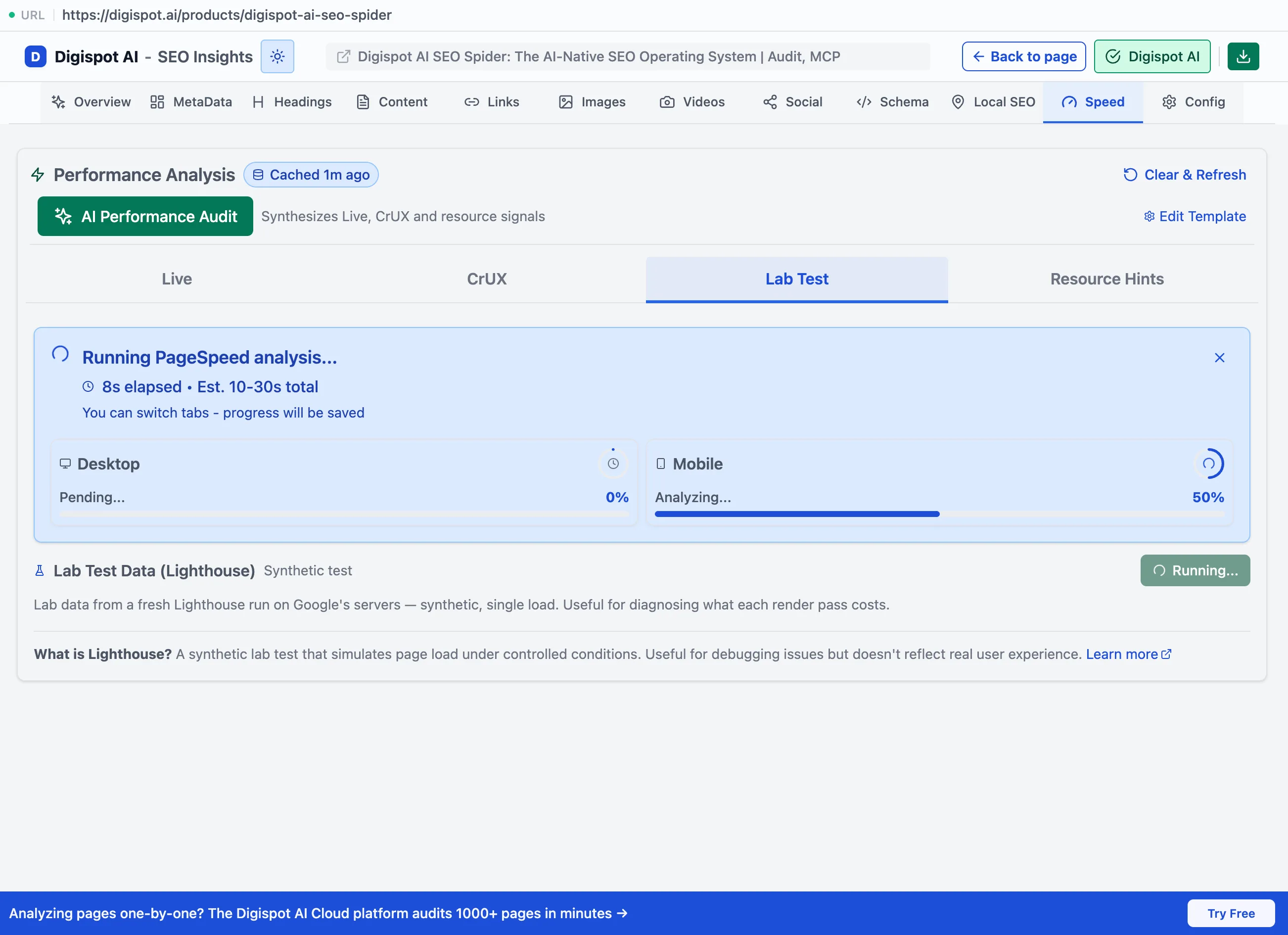 The Performance Analysis panel on the Lab Test sub-tab, running a Lighthouse synthetic PageSpeed analysis with separate Desktop and Mobile progress bars and an estimated 10–30 second run time