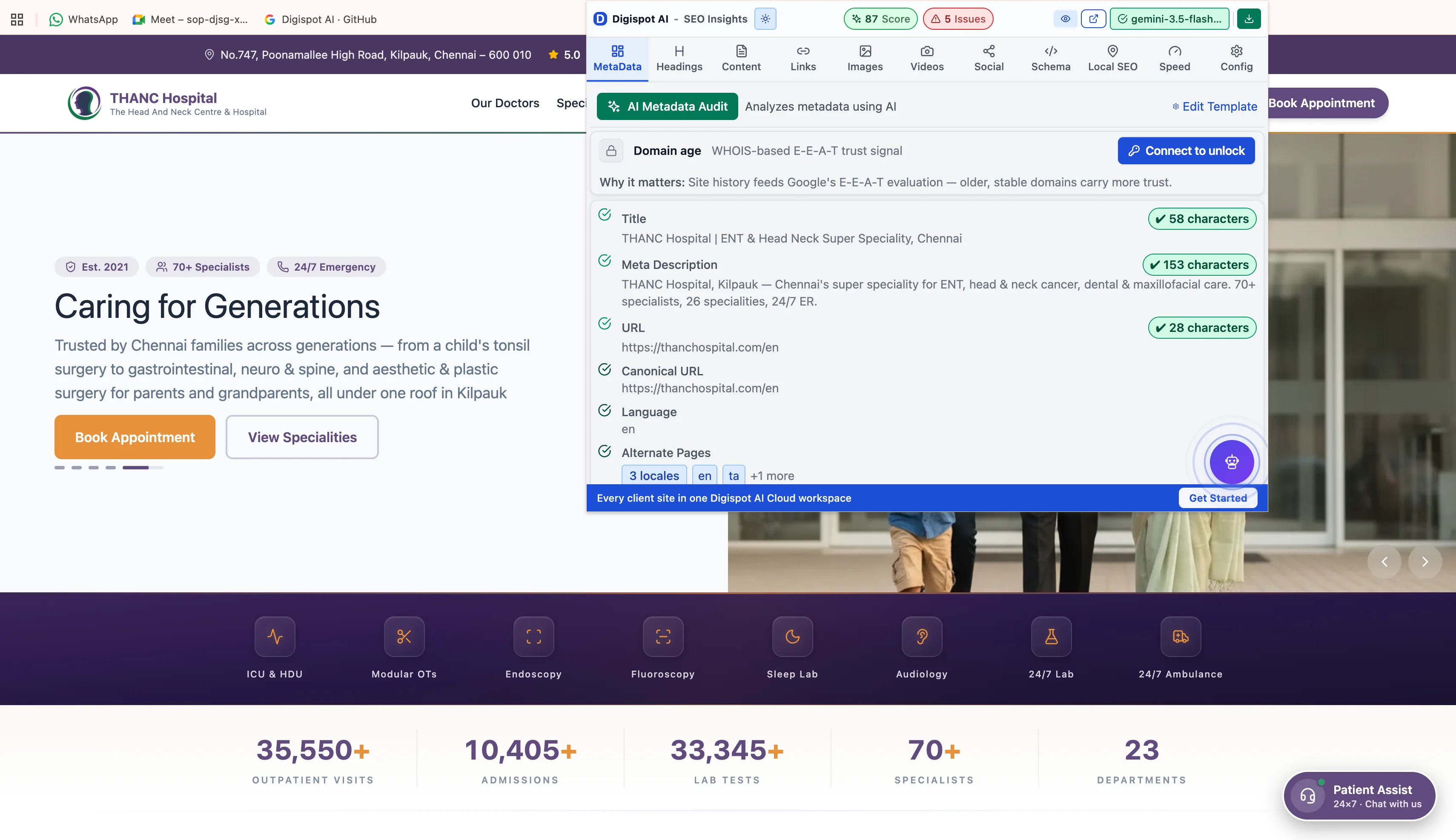 The extension's audit panel docked beside a live web page, showing the MetaData tab's results over the site it is auditing